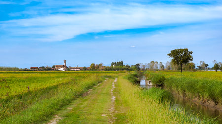 Country landscape near Tainate, in Milan province, Lombardy, Italyの写真素材