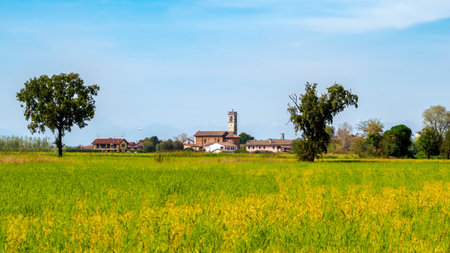 Country landscape near Tainate, in Milan province, Lombardy, Italyの写真素材
