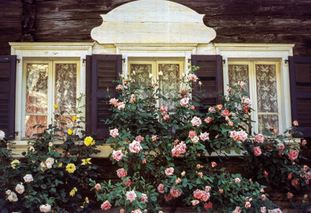 Piotta, Canton Ticino, Switzerland: window of wooden house with pink roses