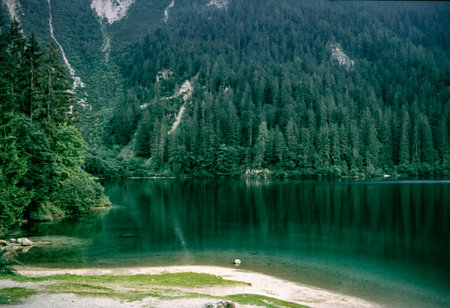 The lake of Tovel, in the Trento province, Trentino-Alto Adige, Italy, at summer