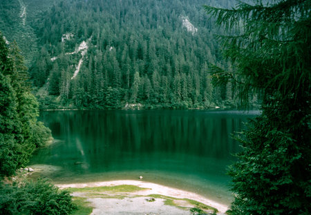 The lake of Tovel, in the Trento province, Trentino-Alto Adige, Italy, at summerの写真素材