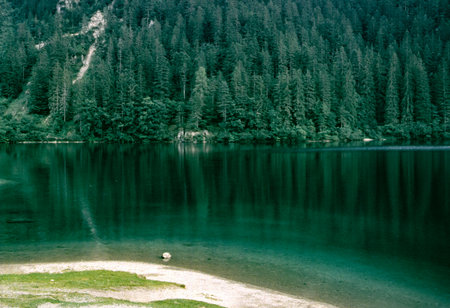 The lake of Tovel, in the Trento province, Trentino-Alto Adige, Italy, at summer