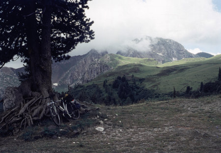 Mountain landscape along the road to Giau Pass, Dolomites, Belluno province, Veneto, Italyの写真素材