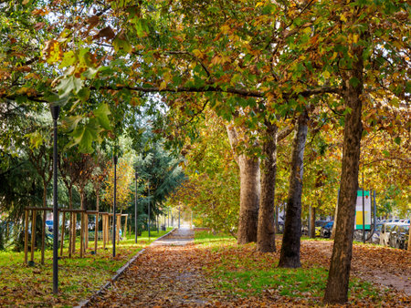 Bicycle and pedestrian lane along Corso Sempione in Milan, Lombardy, Italyの写真素材