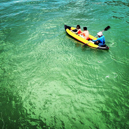 Floating on the green green sea