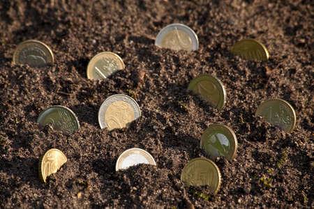 Money growth golden euro cent coins growing from soil. Selective focusの写真素材