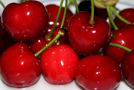 Red cherriesの写真素材