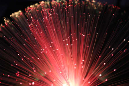 Abstract colorful background, fiber opticsの写真素材