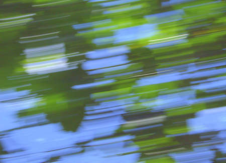 Branches and leaves taken with the technique of creative blur