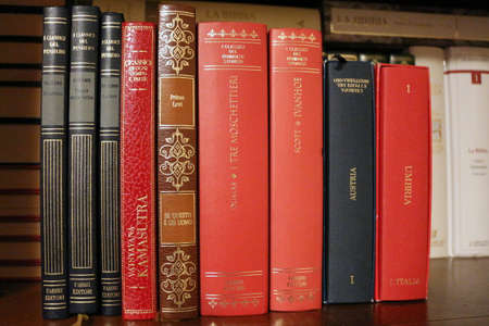 Library, overview of classic booksのeditorial素材