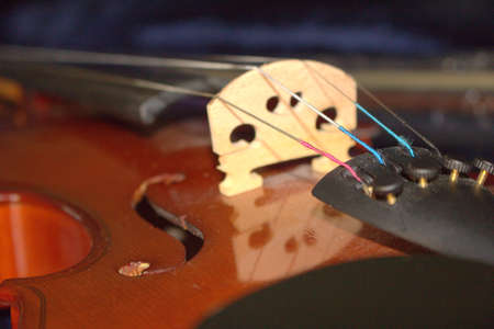 Violin, close up of a musical instrument, details