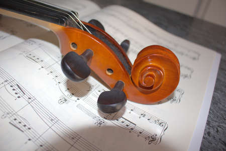 Violin, close up of a musical instrument, detailsの写真素材