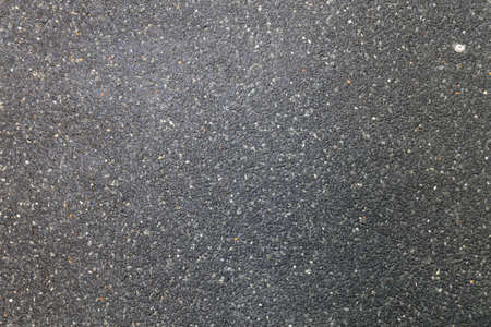 Unpaved road surfaces in a large park.の写真素材