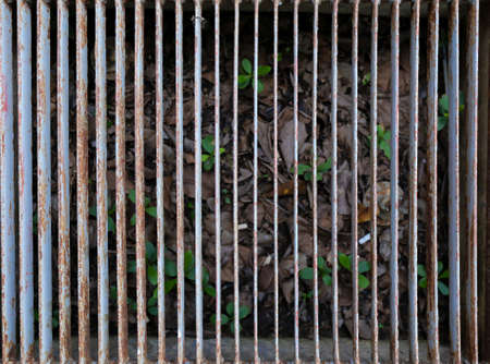 Steel grating drain cover