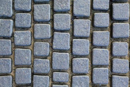 Brick Texture Path Made of Small Grey Bricks