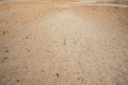 Dry Cracked soil ground