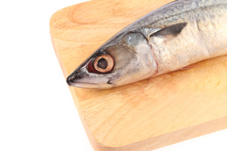 Single Atlantic mackerel on wooden cutting board isolated on white background