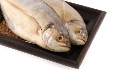 Fresh mackerel fishes on bamboo woven tray isolated on white backgroundの写真素材