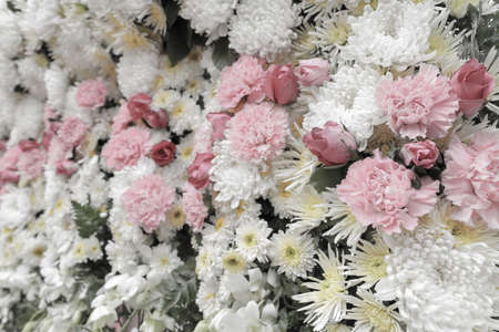 Beautiful flowers background