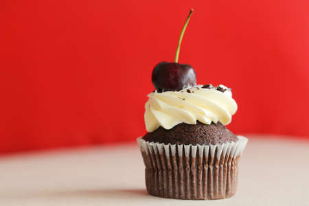 Chocolate Cupcakesの写真素材