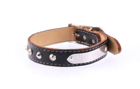 black leather dog collar isolated on white backgroundの写真素材
