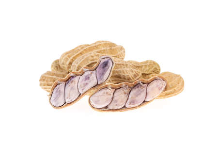 boiled peanuts isolated on white backgroundの写真素材