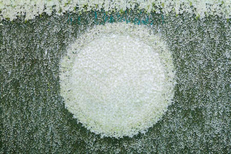 green backdrop flowers arrangement for wedding ceremonyの写真素材