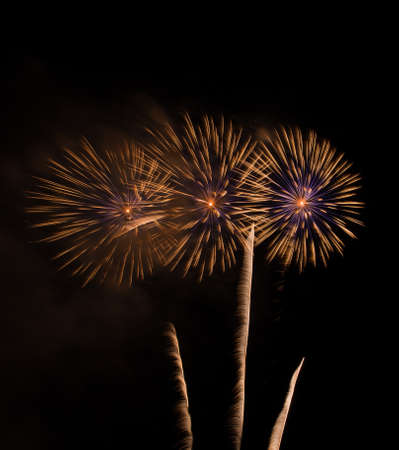 Colorful fireworks on the black sky background