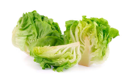 Half of lettuce isolated on white backgroundの写真素材