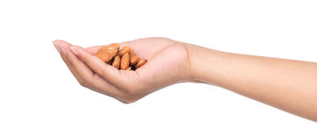 hand holding Almonds seed isolated on white backgroundの写真素材