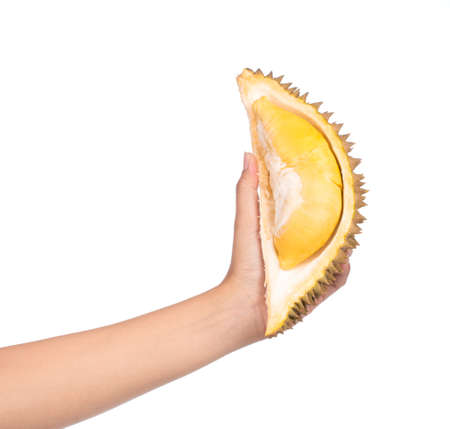 hand holding part of Durian Fruits isolated on white background.の写真素材