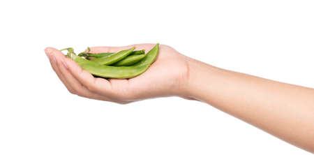 hand holding string bean isolated on white backgroundの写真素材