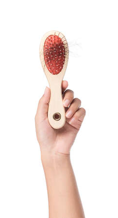hand holding round hair brush with lost hair, isolated on white background