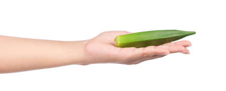 hand holding young okra isolated on white backgroundの写真素材