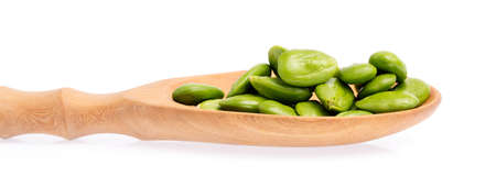 ladle of Parkia speciosa seeds or bitter bean isolated on white backgroundの写真素材