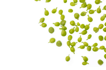 string bean isolated on white background
