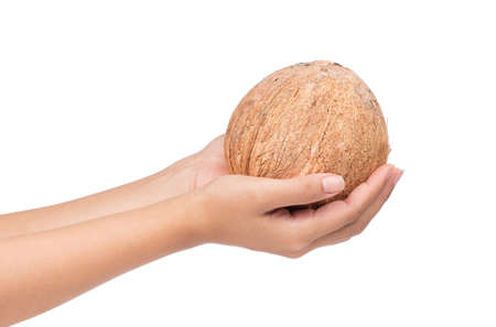 hand holding Coconut Old brown isolated on white backgroundの写真素材