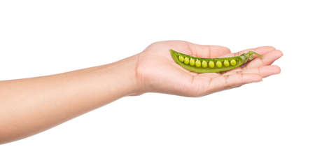 hand holding string bean isolated on white backgroundの写真素材