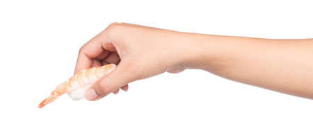 hand holding sushi shrimp and rice isolated on a white backgroundの写真素材