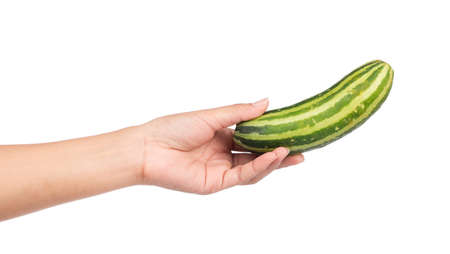hand holding cucumber isolated on white backgroundの写真素材