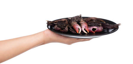 hand holding dish of fresh crab isolated on white backgroundの写真素材