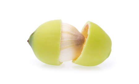 lotus seed isolated on white backgroundの写真素材