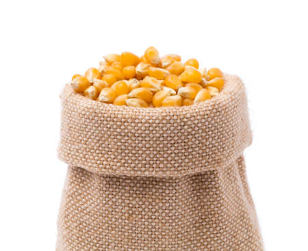 Textile-burlap sack of corn isolated on white backgroundの写真素材