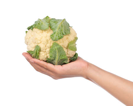 hand holding Cauliflower isolated on white backgroundの写真素材