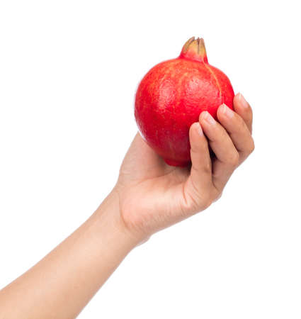 hand holding pomegranate isolated on white backgroundの写真素材