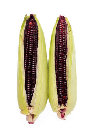 purple corn isolated on white background