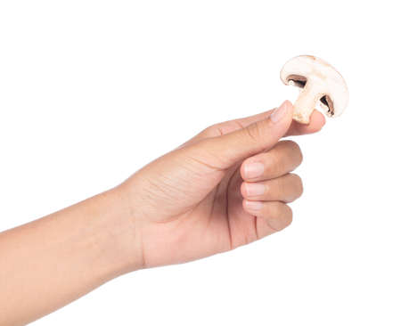 hand holding Champignon Mushroom isolated on white backgroundの写真素材