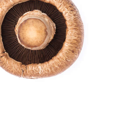 portobello mushrooms, isolated on white background.の写真素材