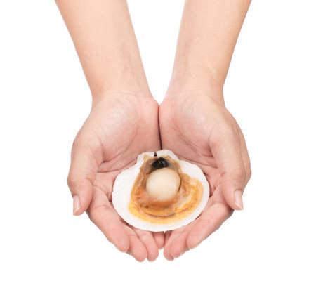 hand holding Scallop shell Isolated on white background.の写真素材