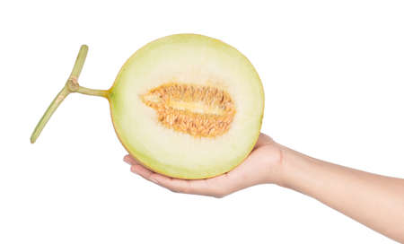 hand holding Ripe Melon Cantaloupe slice, isolated on white background.の写真素材